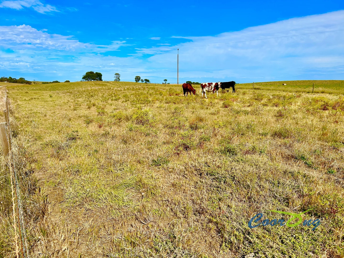Additional image 14 of 1 Princes Highway, Ashville SA 5259