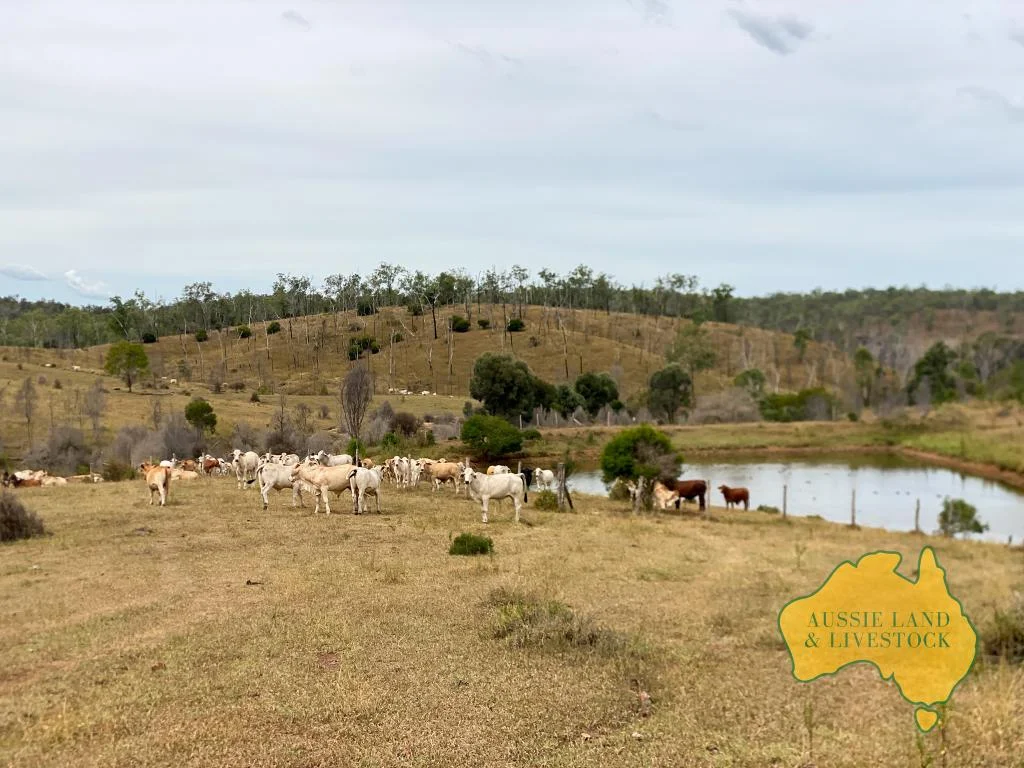 Additional image 6 of 2360 MONTO MOUNT PERRY ROAD, Yarrol QLD 4630