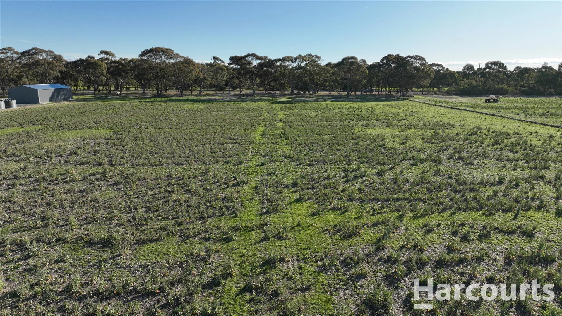 Additional image 12 of 435 Old Hamilton Road, Haven VIC 3401