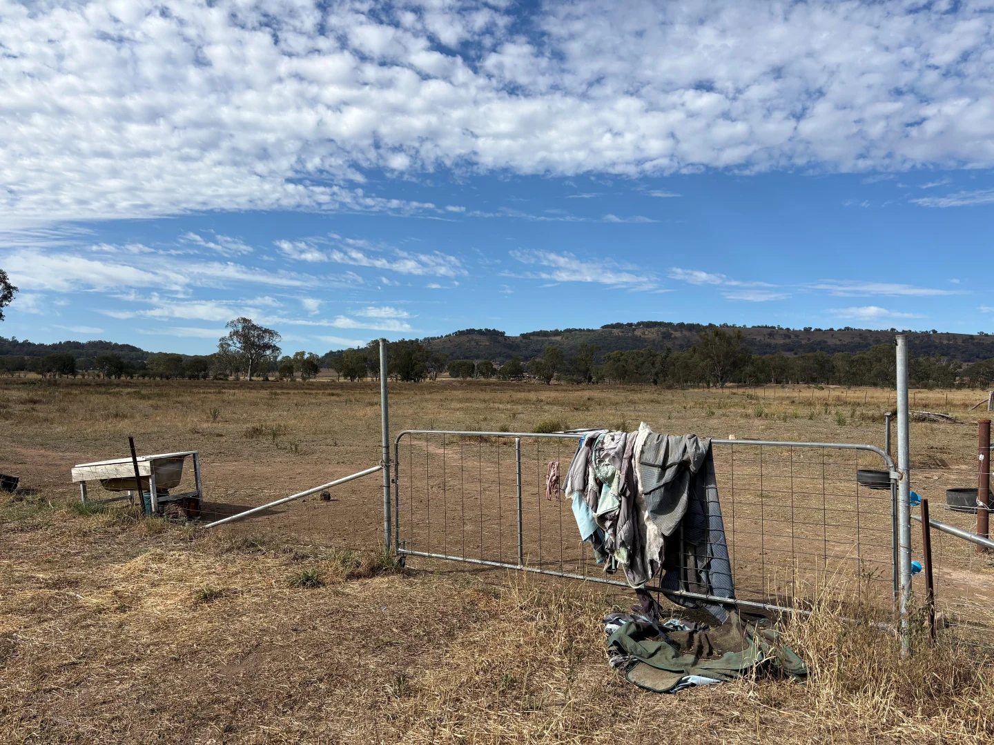 Additional image 11 of 271 Pyangle Road, Rylstone NSW 2849