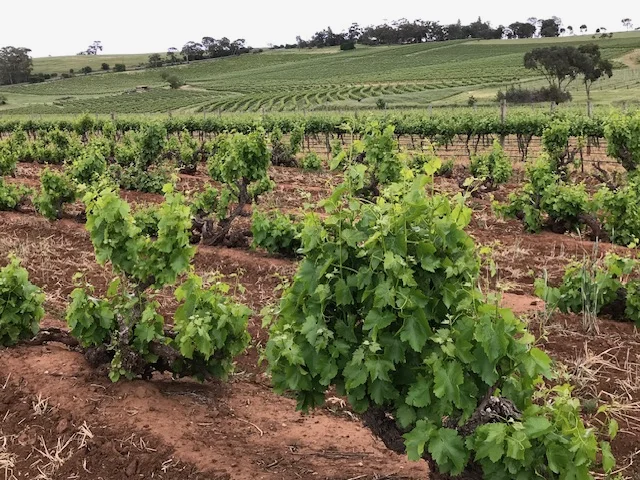 Additional image 15 of Lot 20 Spring Farm Road, Spring Farm SA 5453