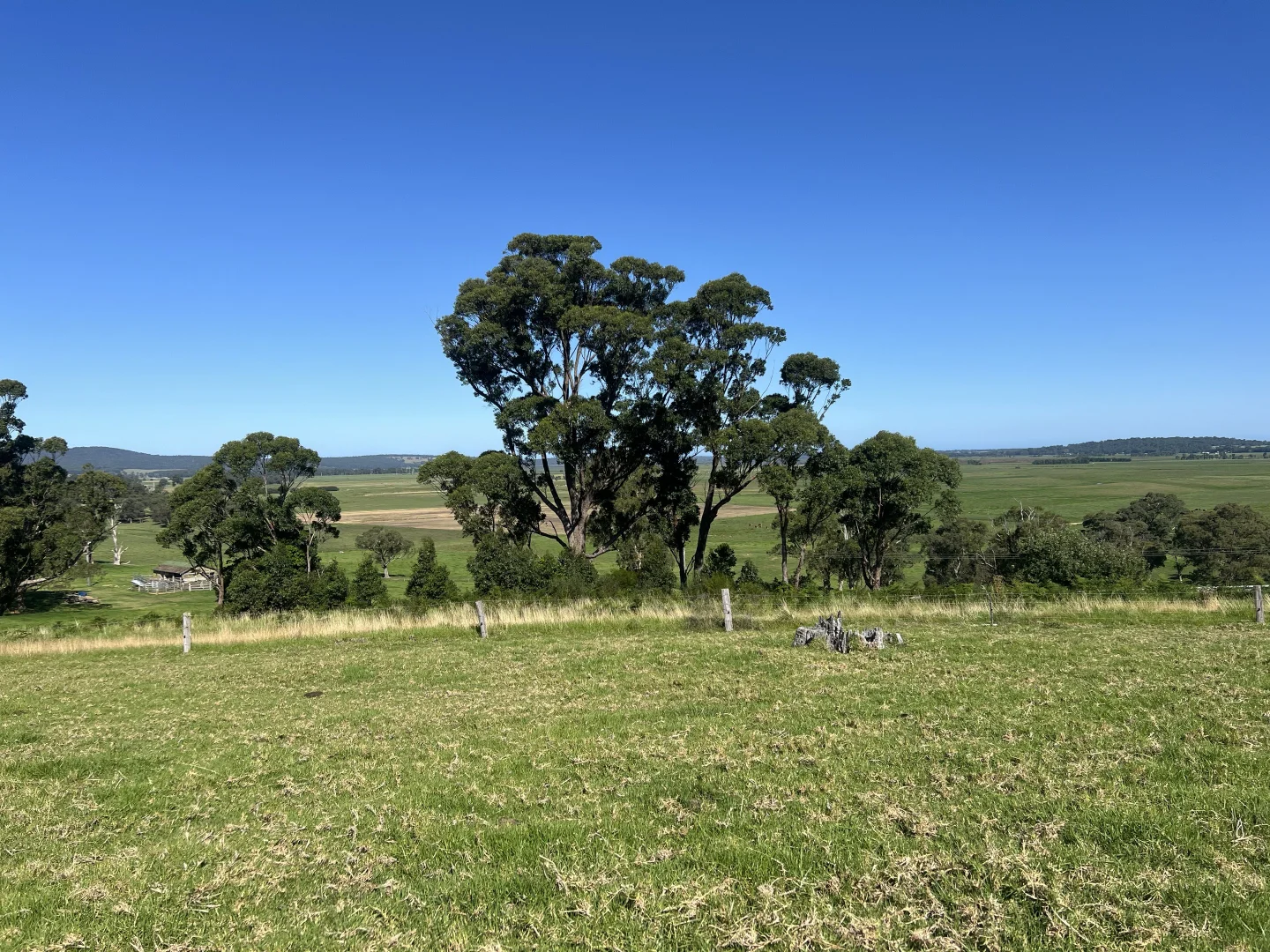 Additional image 3 of 471 Princes Highway, Orbost VIC 3888