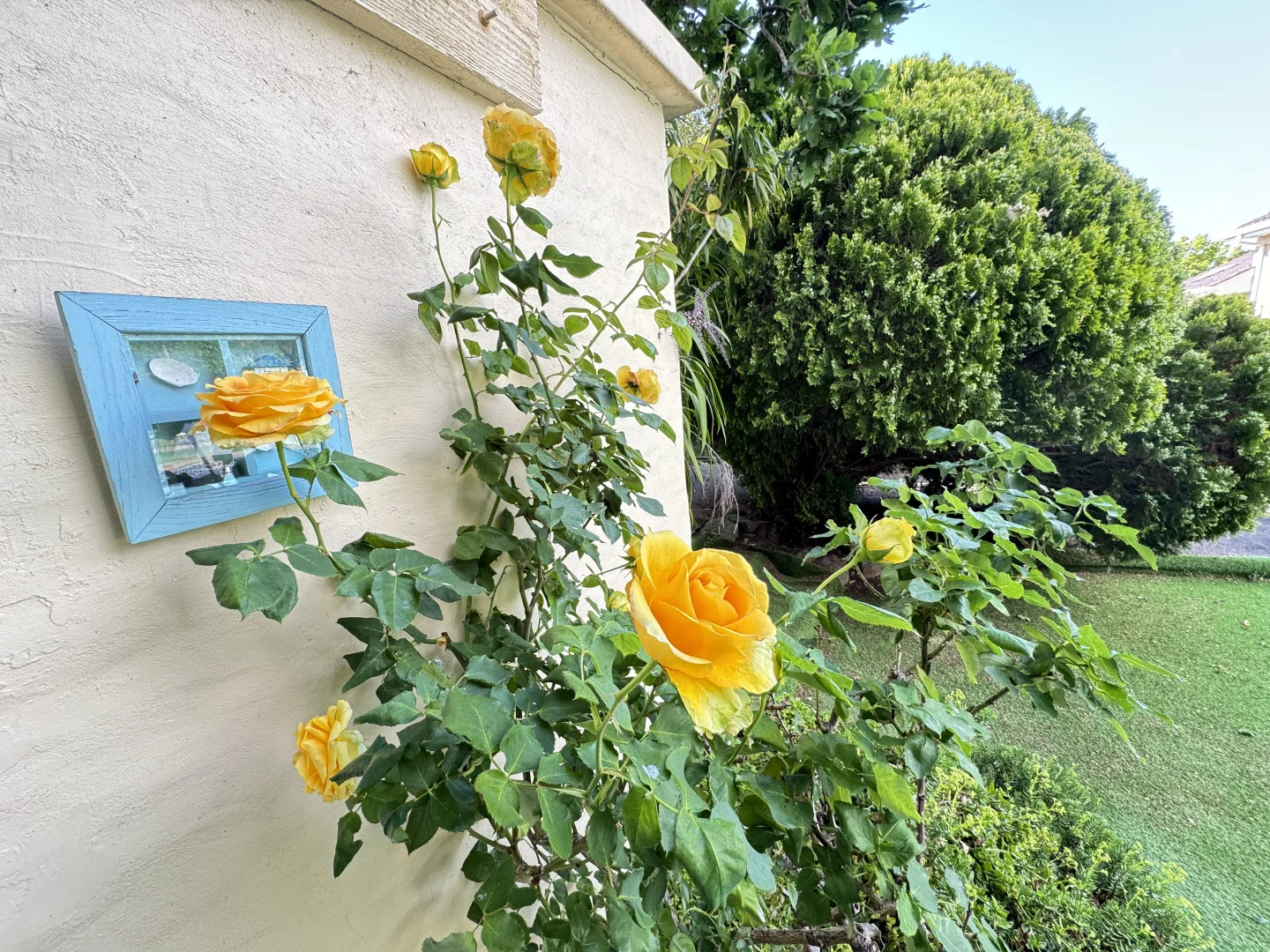 Additional image 15 of 21-23 Walker Parade, Churchill VIC 3842