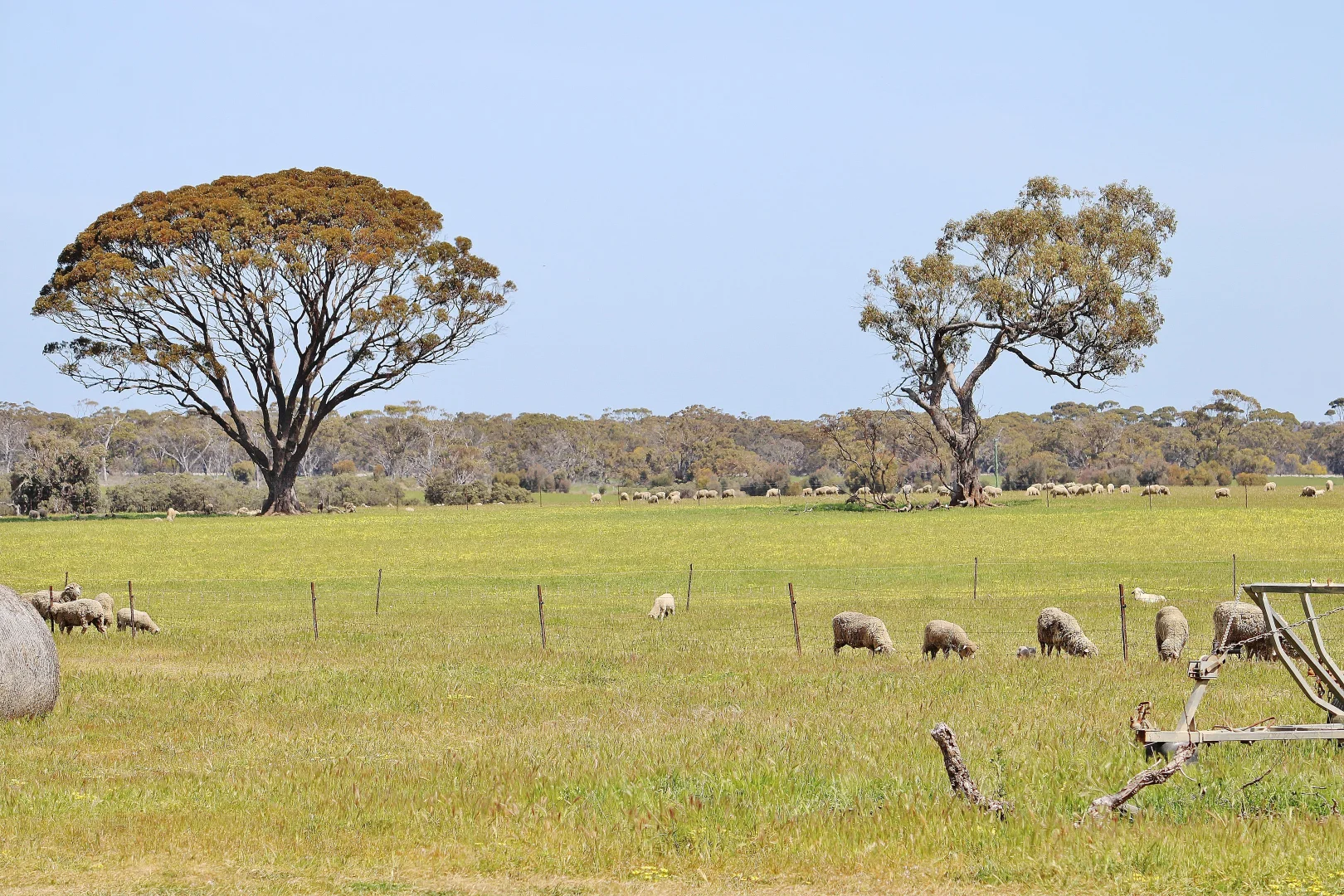Additional image 16 of 256 WAGIN-DUMBLEYUNG ROAD, Wagin WA 6315