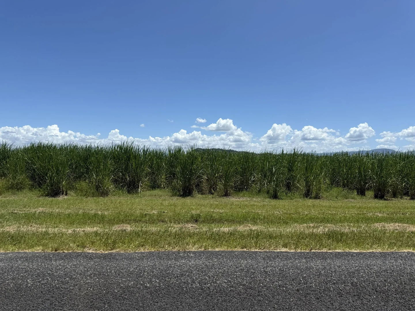 Additional image 14 of 53 Scougall Road, Jarra Creek QLD 4854