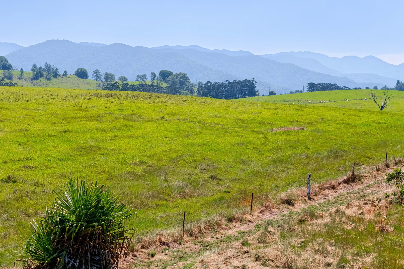 Additional image 20 of Lot 92/96 Mary Jane Drive, Julatten QLD 4871