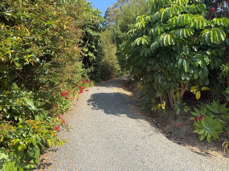 Additional image 9 of 53 Gurrinyah drive, Stokers Siding NSW 2484