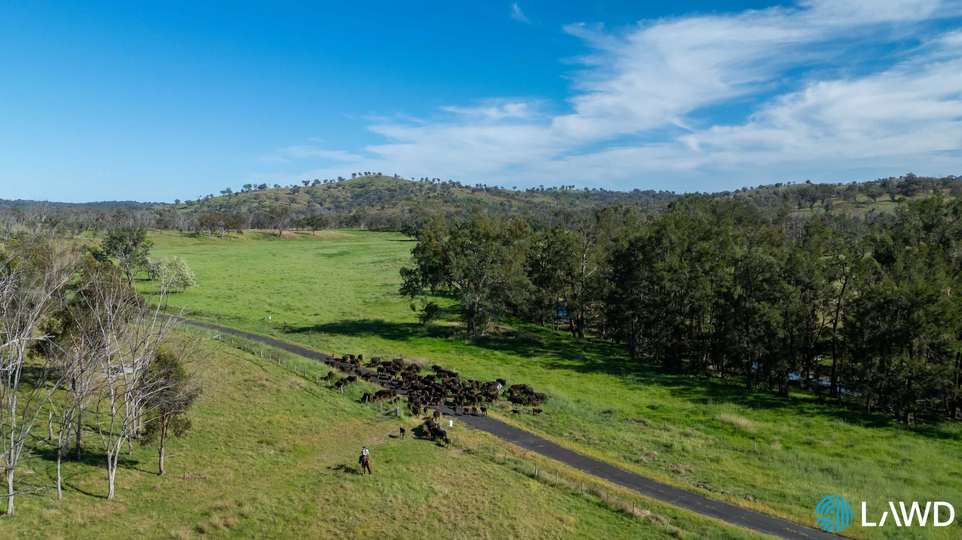 Additional image 4 of Abington NSW 2350