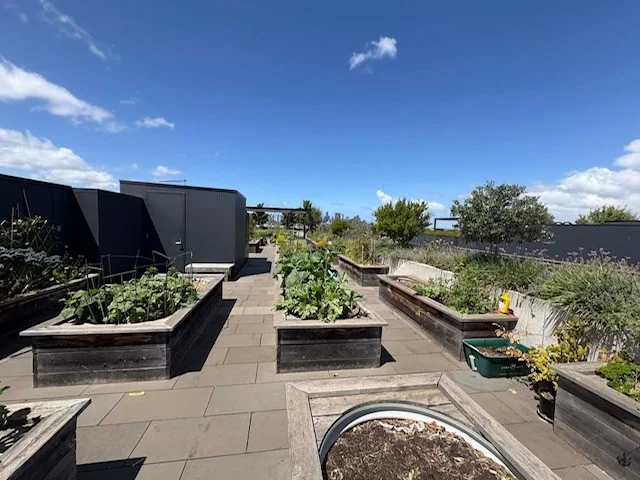 Additional image 29 of 223/12 Village Ave, Brunswick East VIC 3057