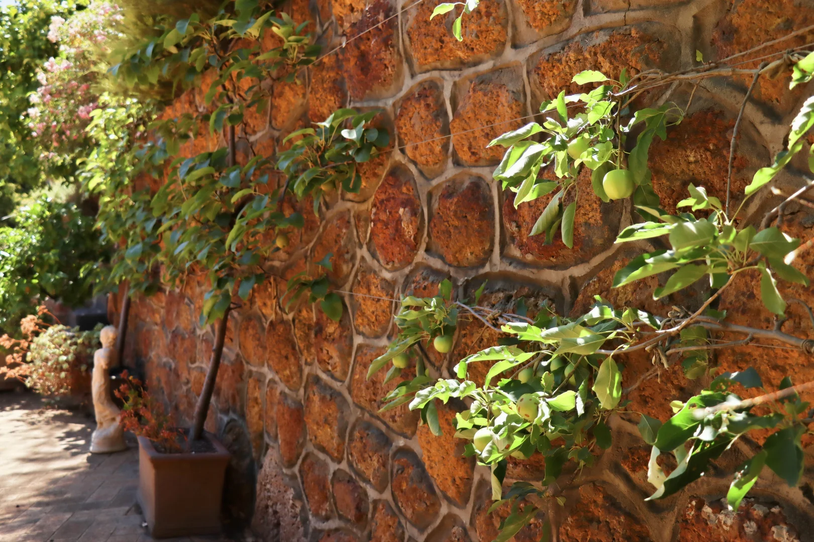 Additional image 15 of 8 Loftie Street, Bridgetown WA 6255