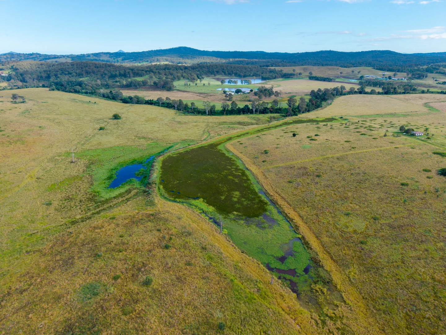 Additional image 21 of 3695 Beaudesert Nerang Road, Tabragalba QLD 4285