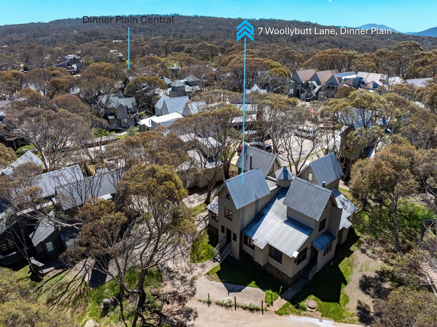 Additional image 16 of 7 Woollybutt Lane, Dinner Plain VIC 3898