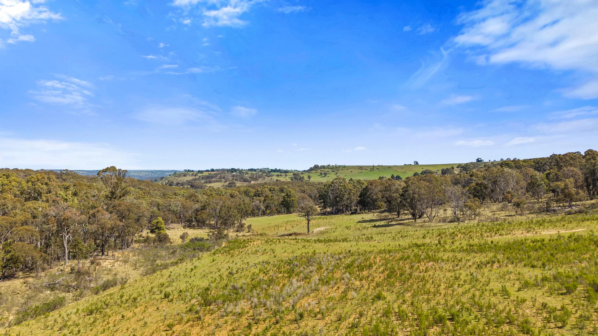 Additional image 6 of 5733-5734 Abercrombie Road, Paling Yards NSW 2580