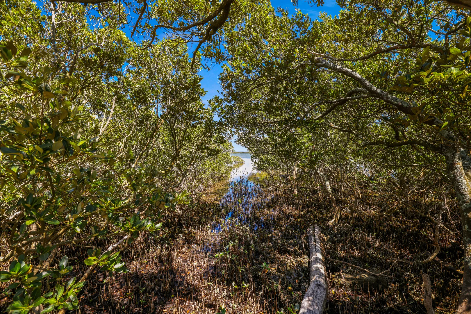 Additional image 18 of 49 Addison Road, Culburra Beach NSW 2540