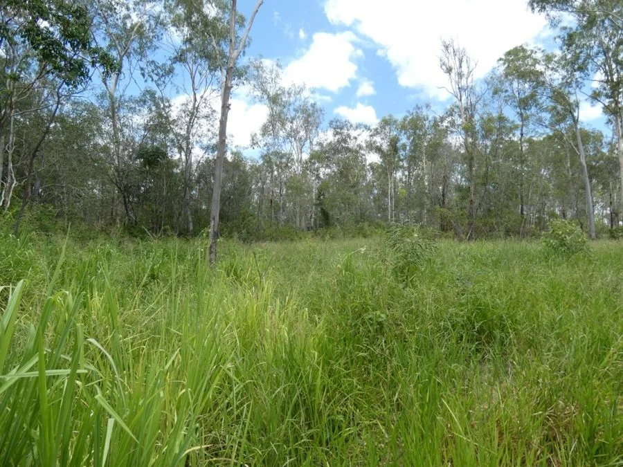 Additional image 33 of Lot 43 Moolyung Road, Waterloo QLD 4673