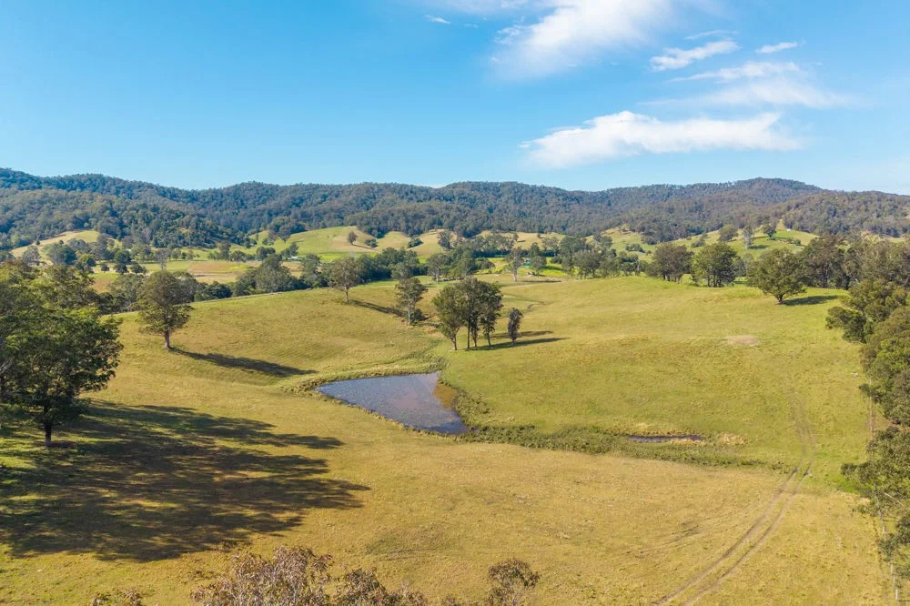 Additional image 23 of Lot 3 of 449 Hickeys Creek Road, Millbank NSW 2440