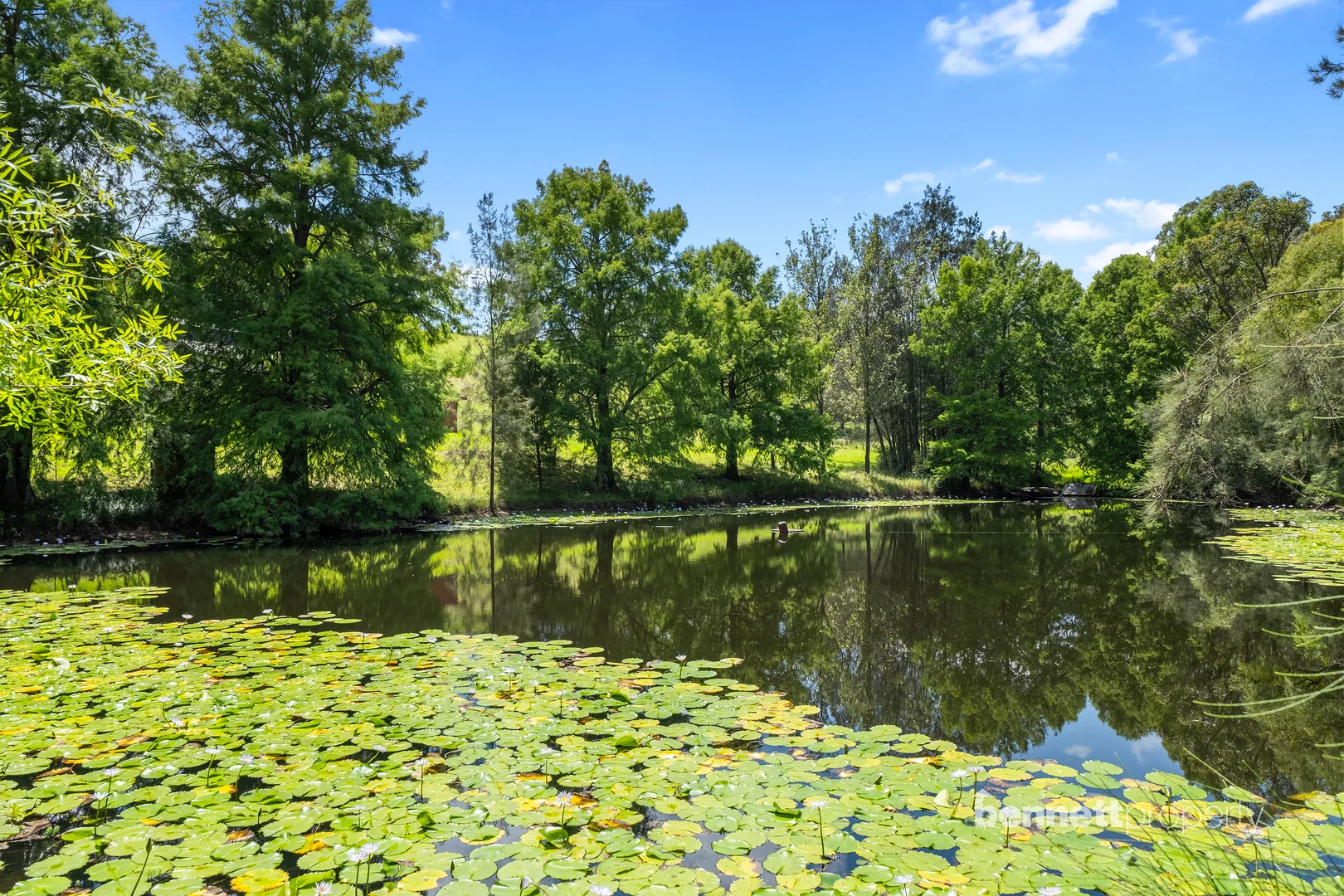 Additional image 41 of 37 Overton Road, Kurrajong NSW 2758