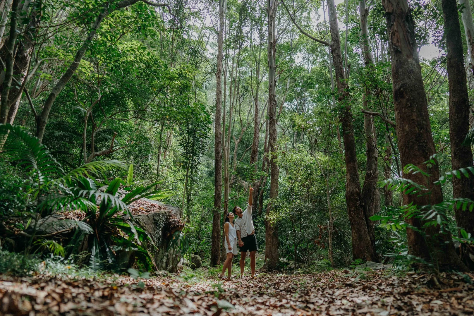 Additional image 29 of 210 Frasers Road, Mullumbimby Creek NSW 2482