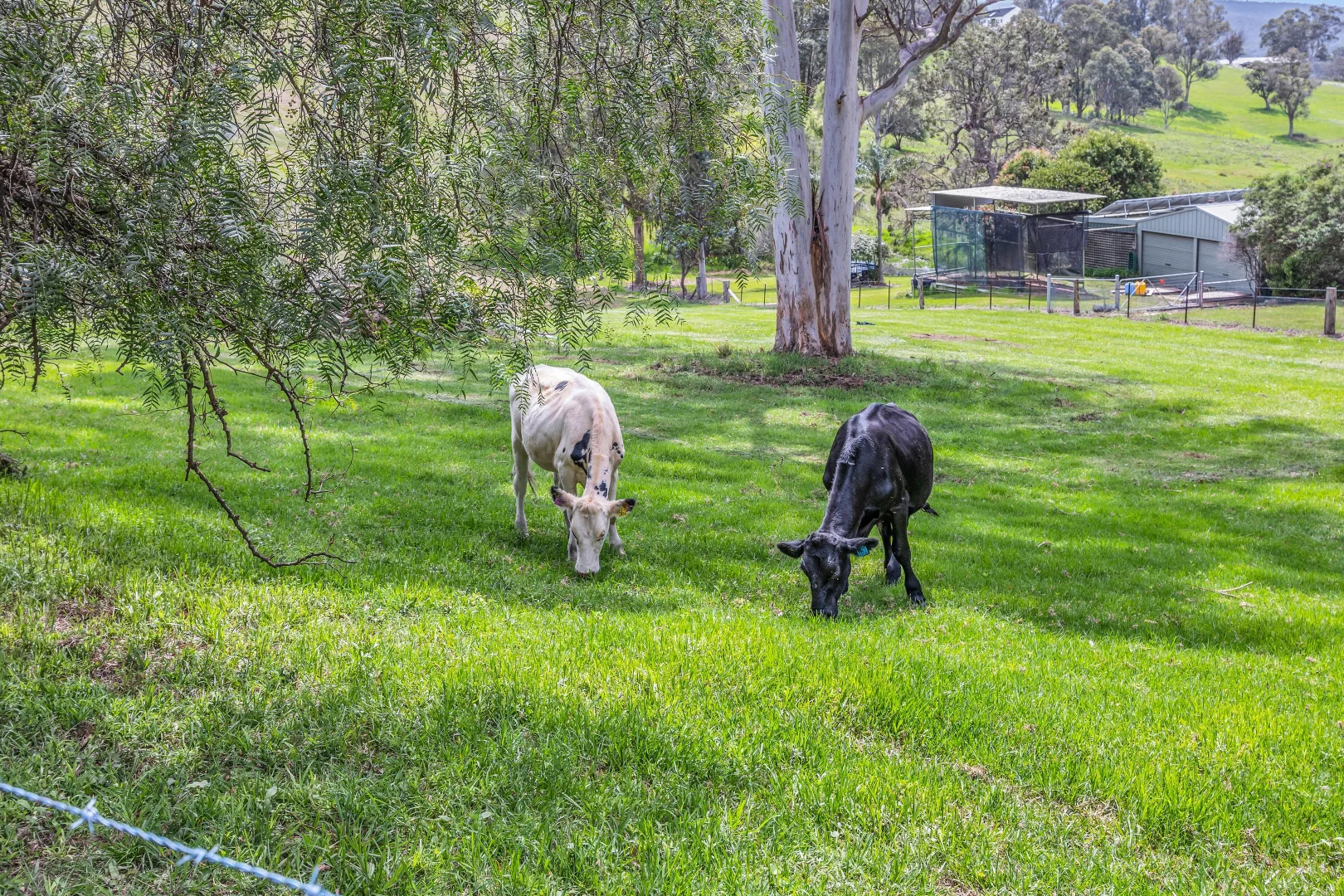 Additional image 23 of 90 Kerrisons Lane, Bega NSW 2550