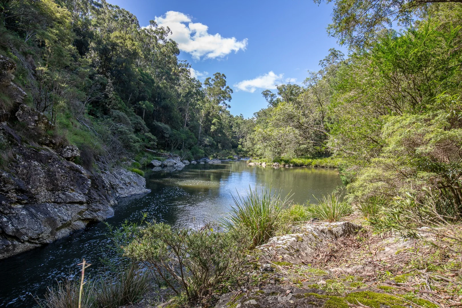 Additional image 2 of 149 Johnsens Road, Dorrigo NSW 2453