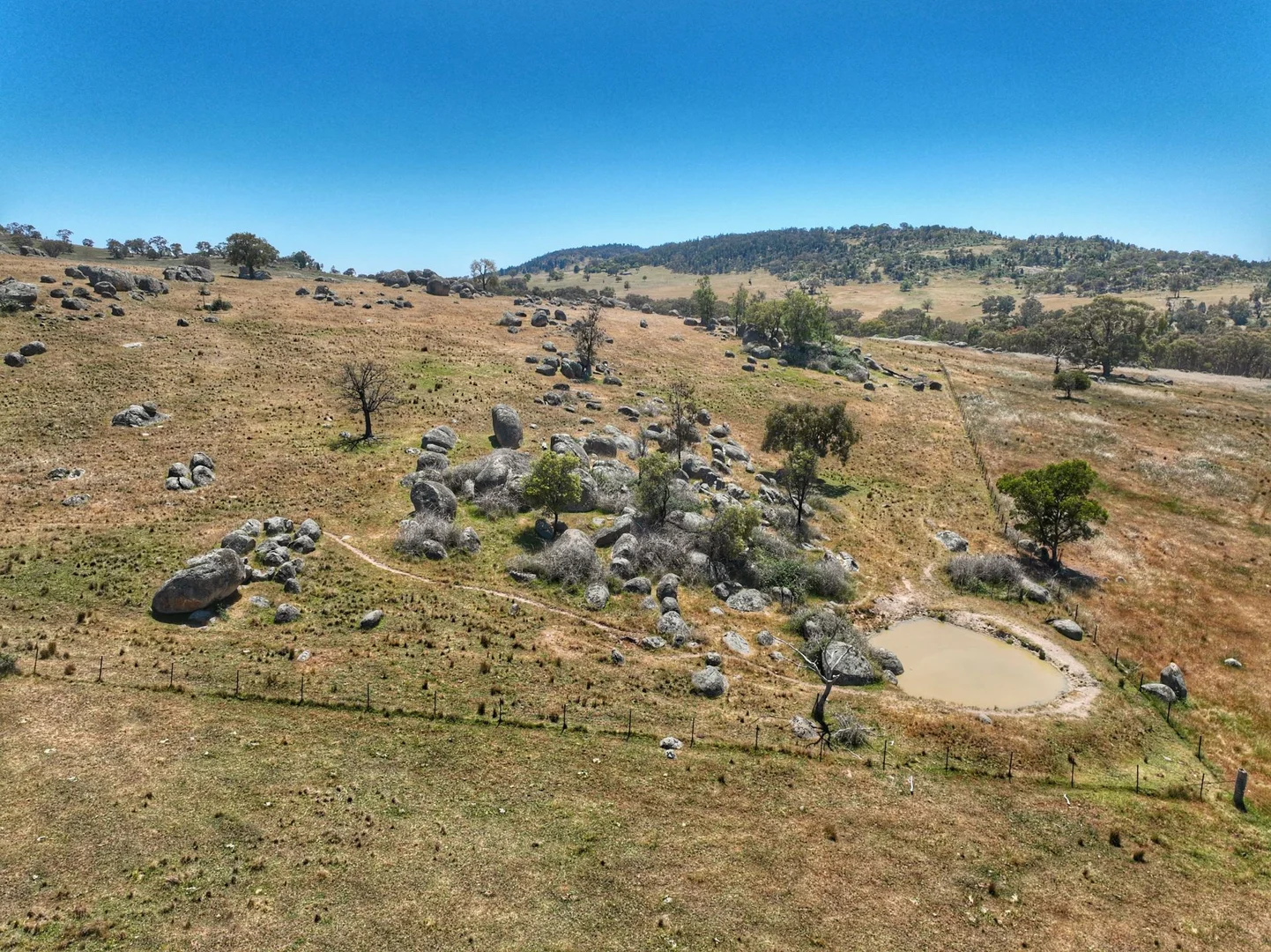 Additional image 6 of 1432 Pine Mount Road, Darbys Falls NSW 2793