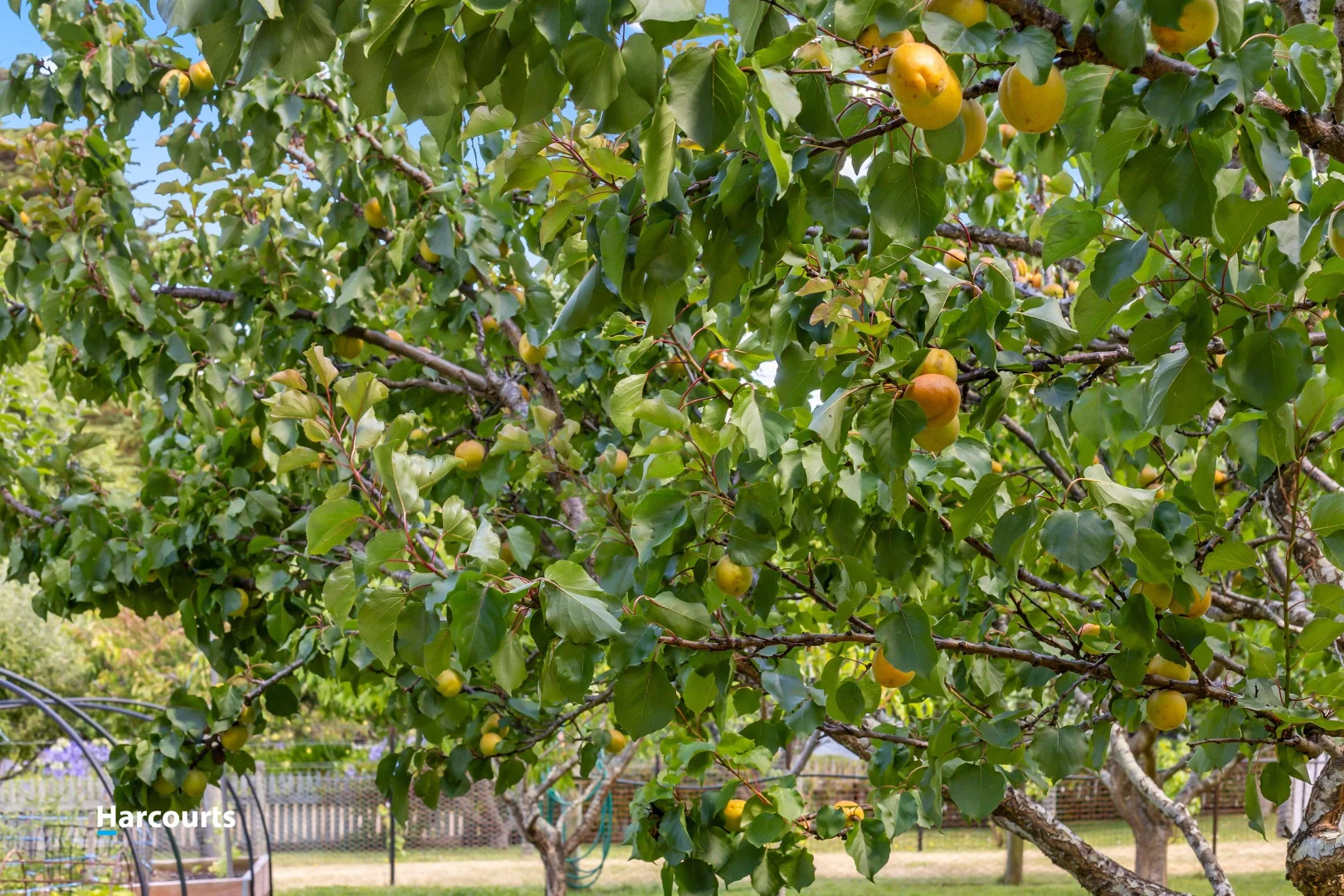 Additional image 25 of 11 Langridge Road, Gardners Bay TAS 7112
