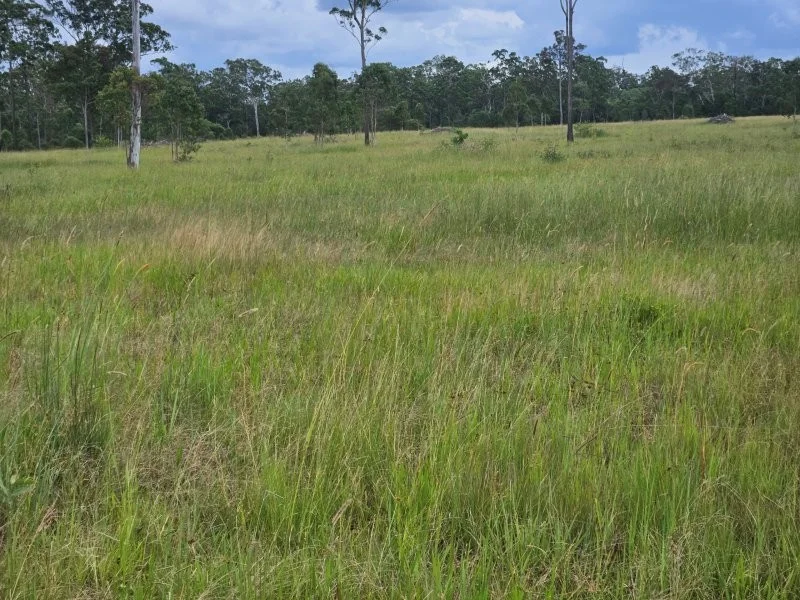 Additional image 21 of 0 Davis Road, Bauple Forest QLD 4650