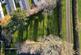 Additional image 39 of Spring Lane, Kearby, LS22