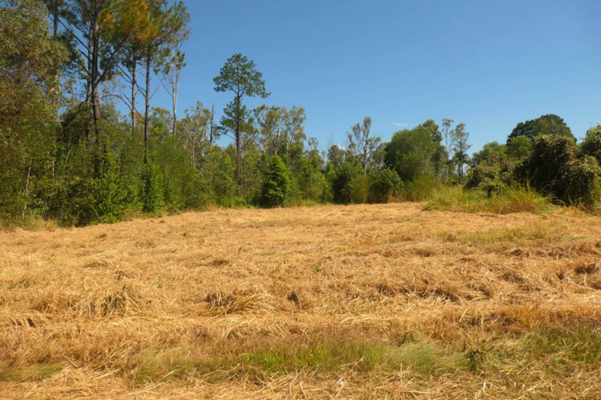 Additional image 12 of 1,2,3/12 Mclean Street, Rappville NSW 2469