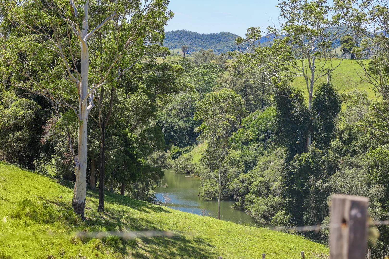 Additional image 3 of 55 Argues Rd, Upper Taylors Arm NSW 2447
