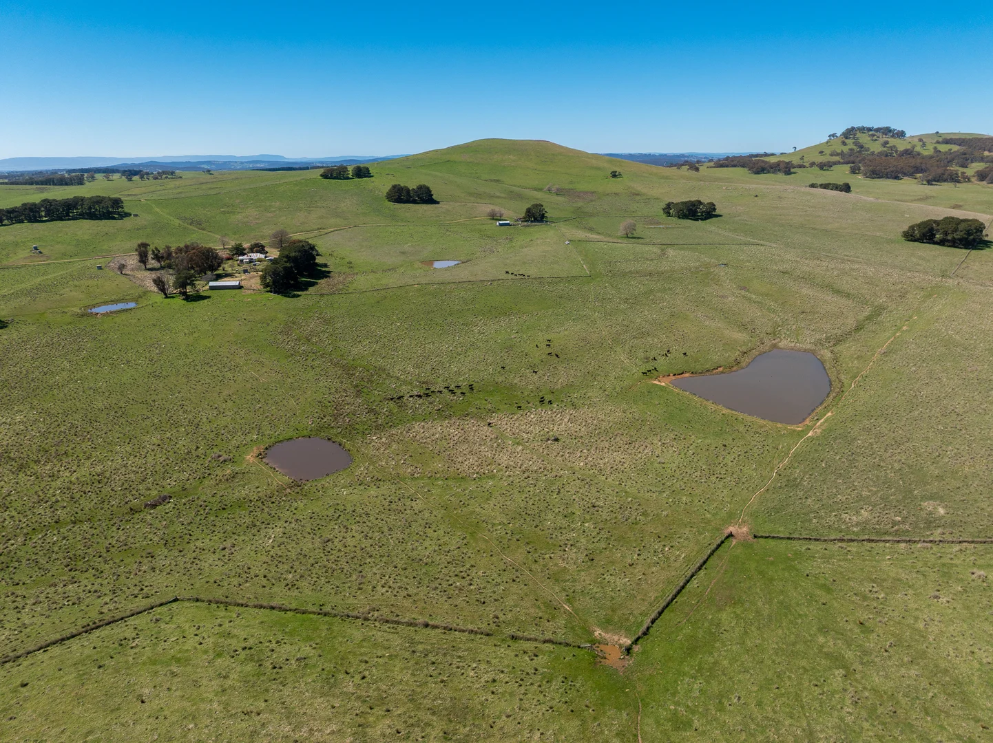 Additional image 19 of 242 Bundaleer Road, Newbridge NSW 2795