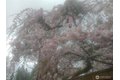Additional image 35 of 8129 NE 131st St, Kirkland, WA, 98034