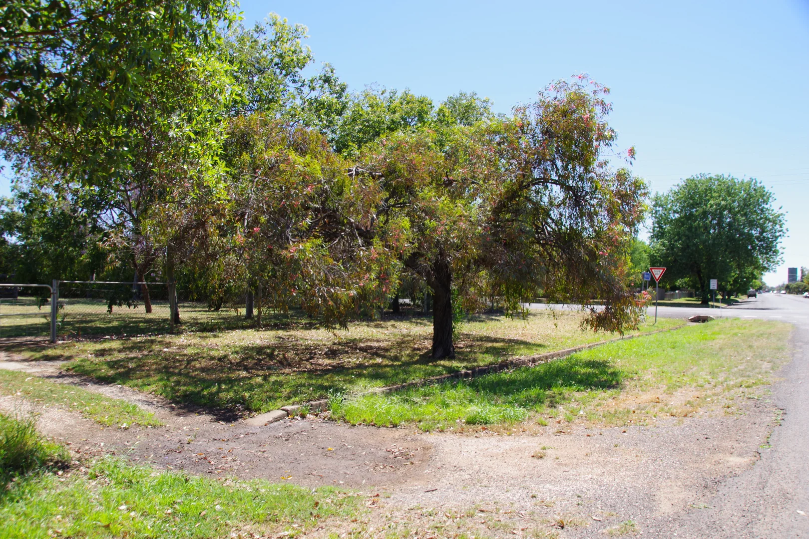 Additional image 29 of 9 Warrior Street, Wee Waa NSW 2388