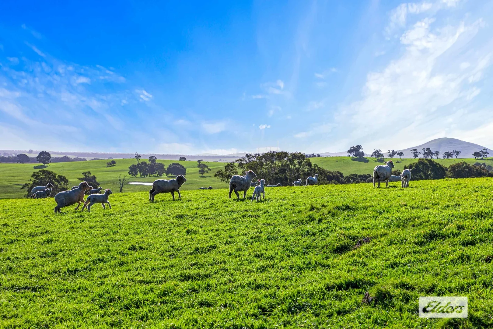 Additional image 22 of Warrayadin Road, Ararat VIC 3377