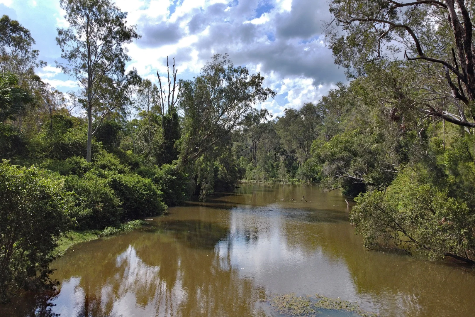 Additional image 6 of 513 Norton Road, Boynedale QLD 4680