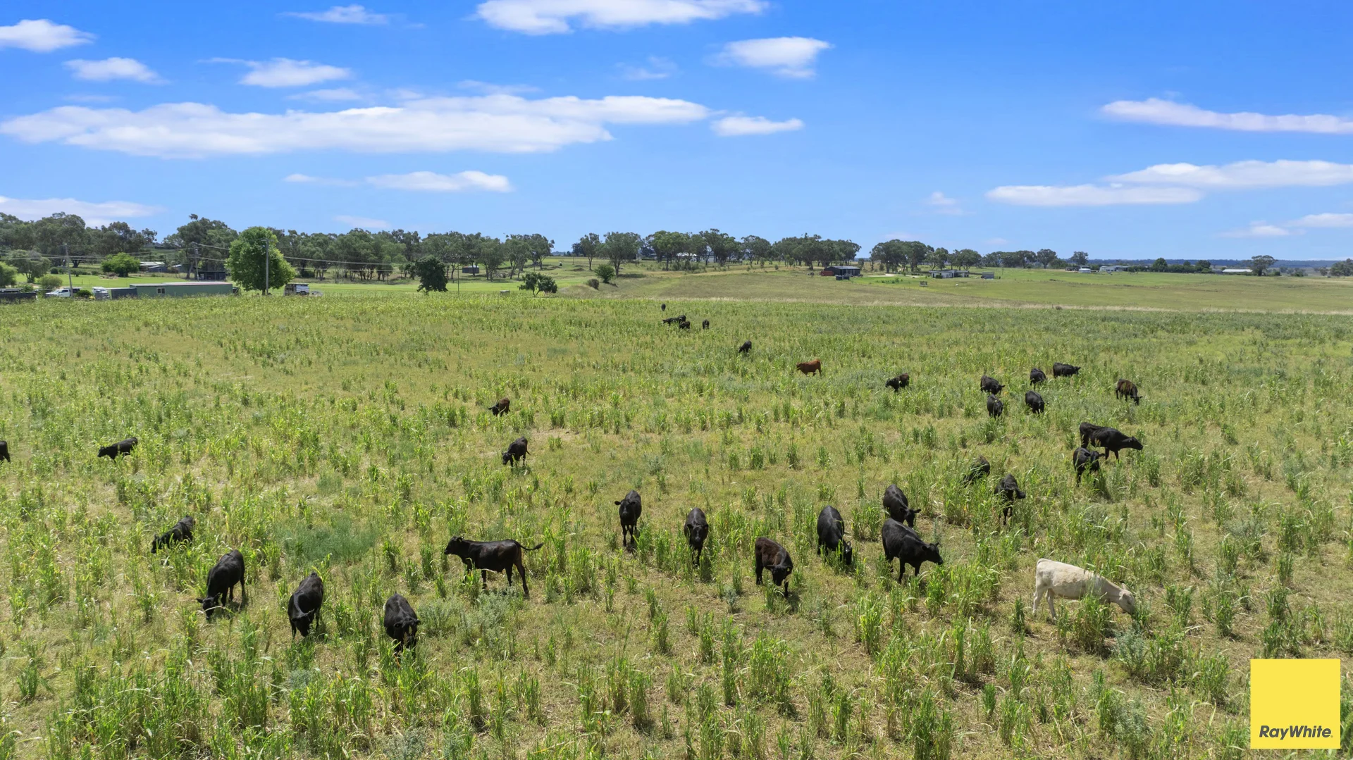 Additional image 21 of 394 Yetman Road, Inverell NSW 2360