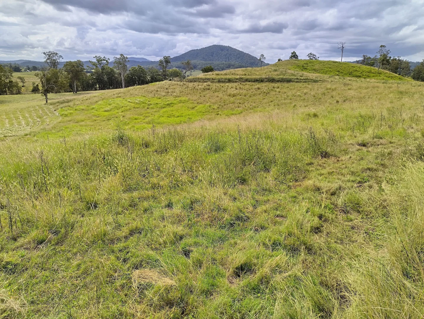 Additional image 11 of 1106 Naughtons Gap Road, Bentley NSW 2480