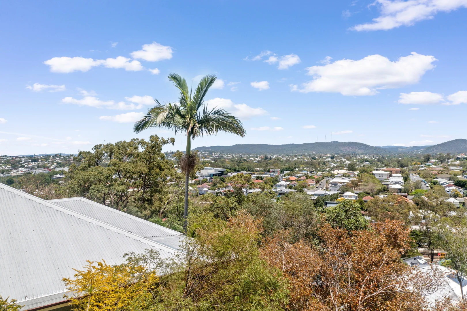 Additional image 13 of 29 Lansdowne Street, Newmarket QLD 4051