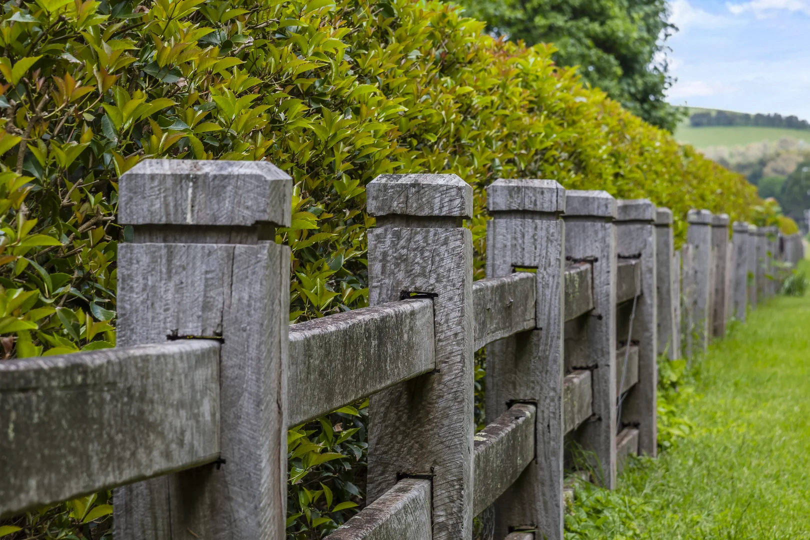 Additional image 23 of 114 Rodonis Road, Musk VIC 3461