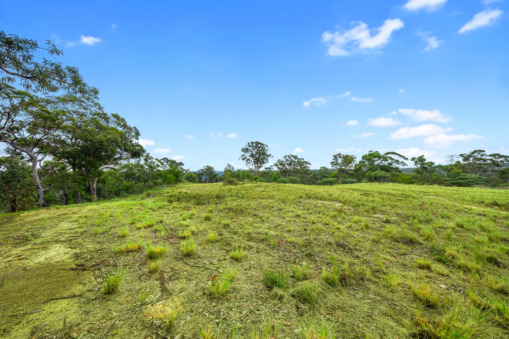 Additional image 6 of 173 Gallaghers Road, South Maroota NSW 2756