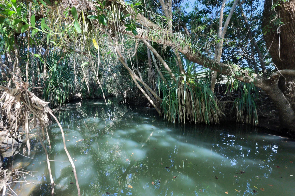 Additional image 5 of Lot 21, 241 Wintons Road, Yalboroo QLD 4741