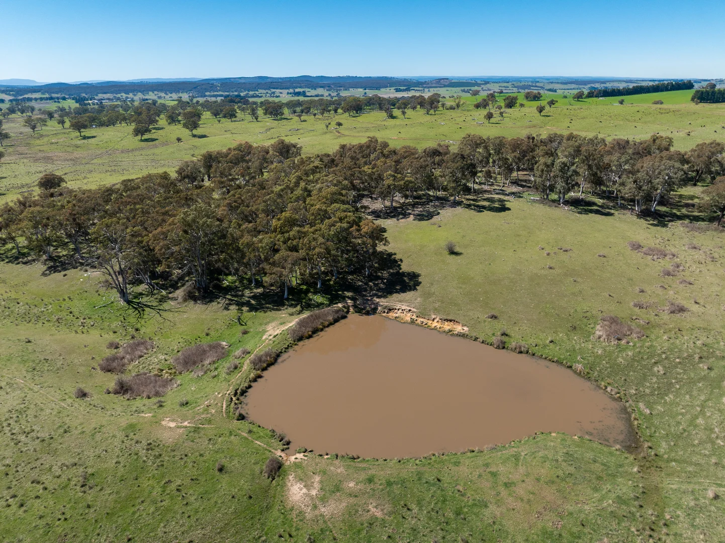 Additional image 17 of 242 Bundaleer Road, Newbridge NSW 2795