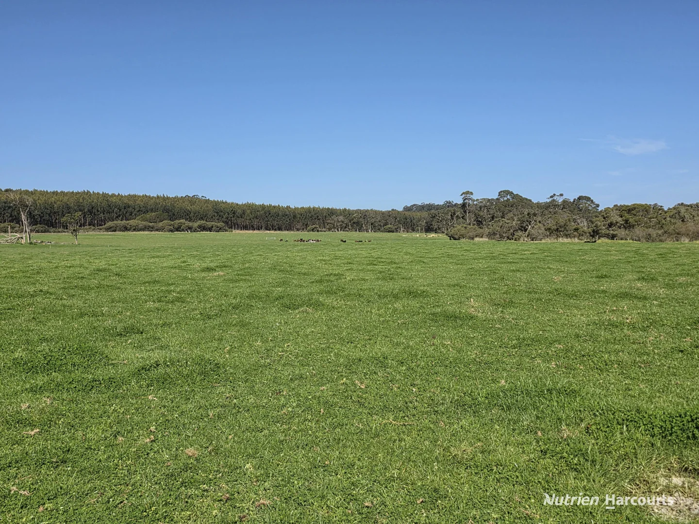 Additional image 19 of 60 Skippings Road, Kordabup WA 6333