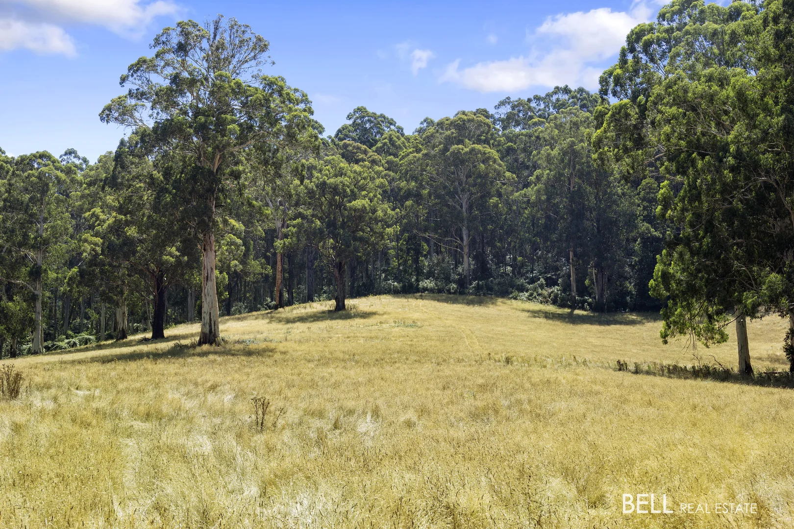 Additional image 10 of 1115 Little Yarra Road, Three Bridges VIC 3797