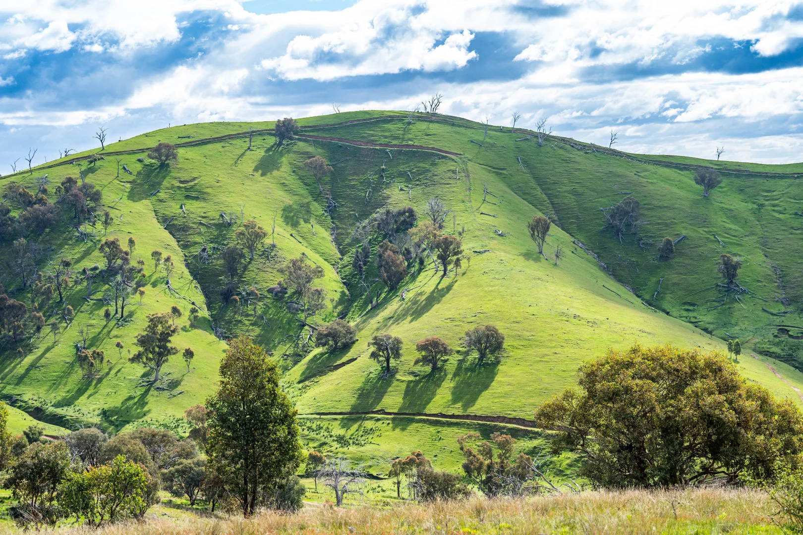 Additional image 3 of . Packers Road, Bethanga VIC 3691