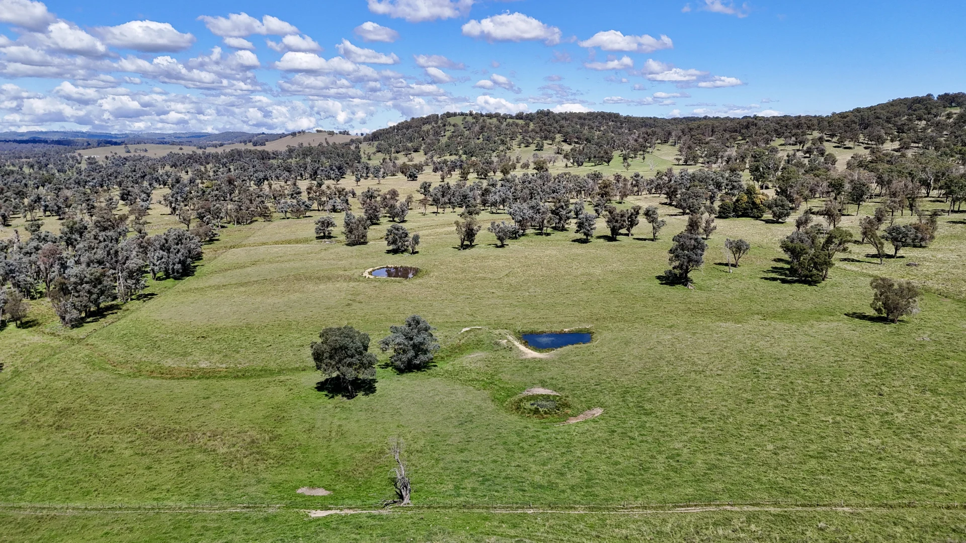 Additional image 11 of 3256 Niangala Rd, Walcha NSW 2354