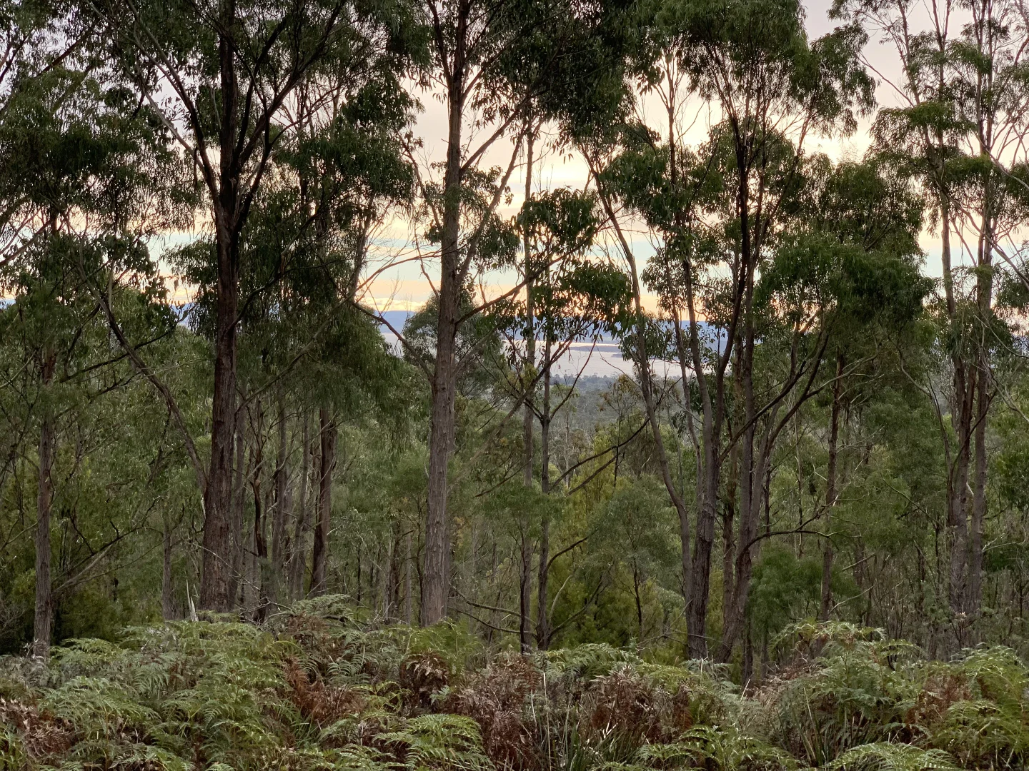 Additional image 8 of Lot 1 off Dam Road, Saltwater River TAS 7186