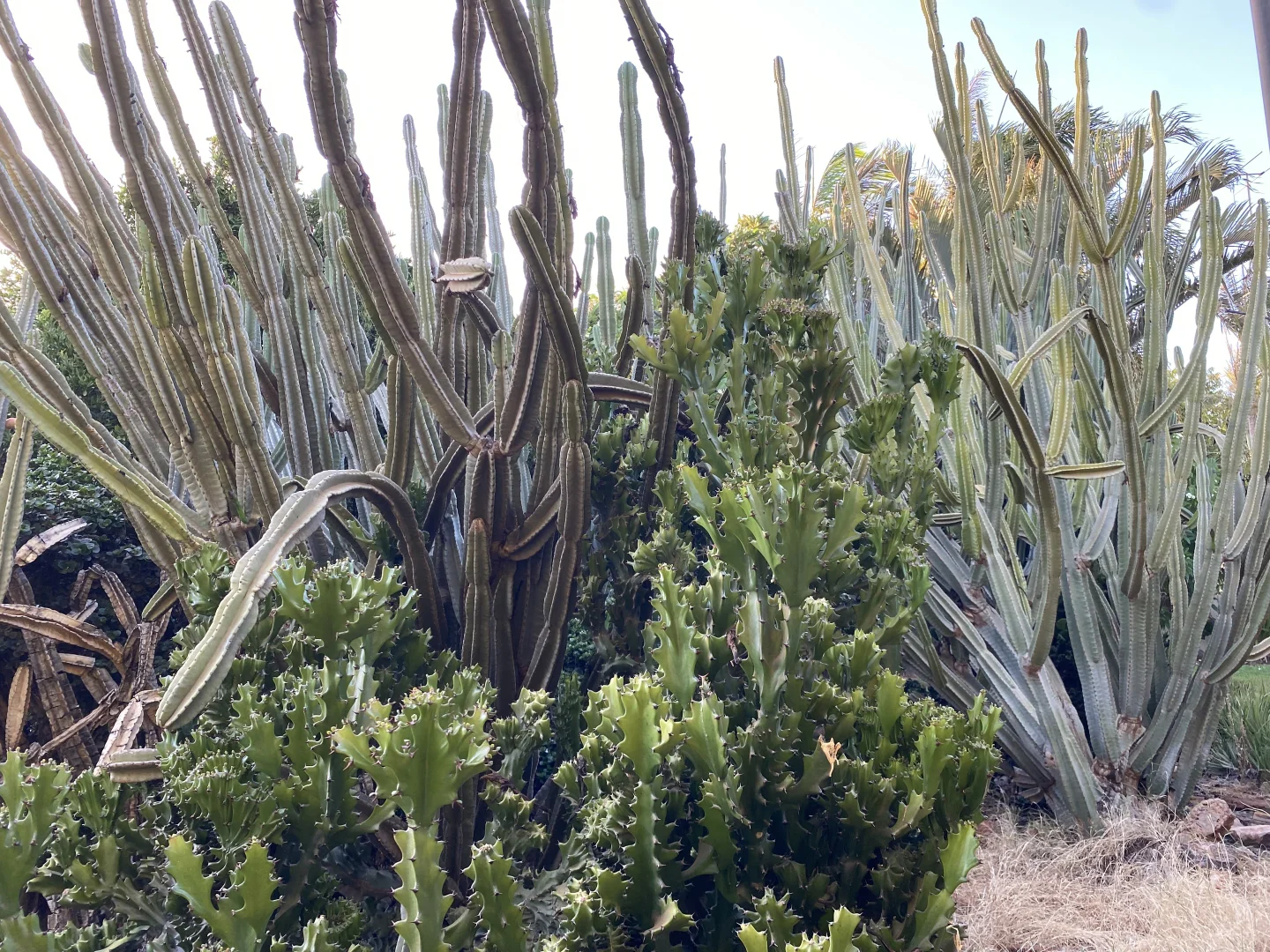 Additional image 41 of 600 South River Road, South Plantations WA 6701