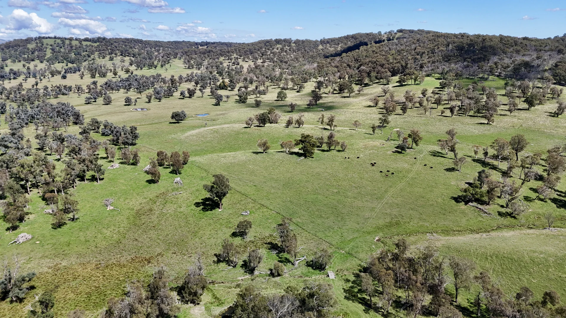 Additional image 15 of 3256 Niangala Rd, Walcha NSW 2354
