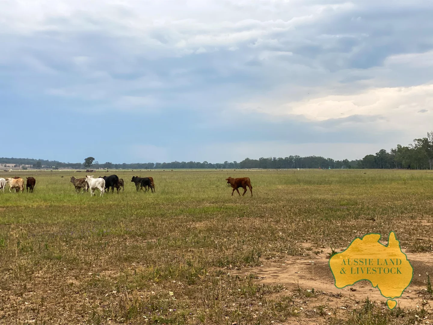 Additional image 28 of 95 Monto Mount Perry Road, Tellebang QLD 4630